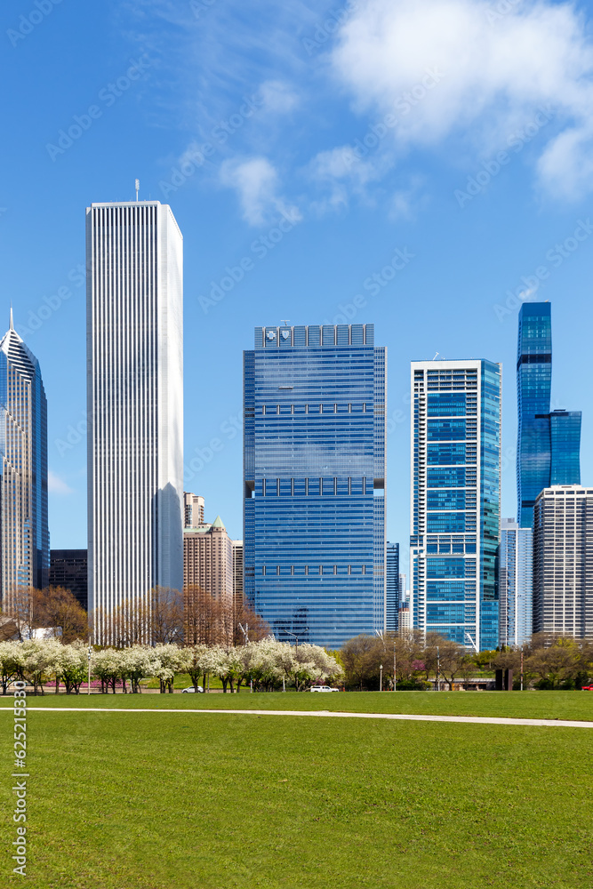 Chicago city skyline skyscraper portrait format in the United States