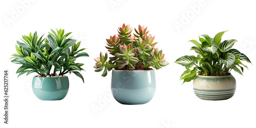 Various of beautiful houseplant for decor home. Generative Ai  photo