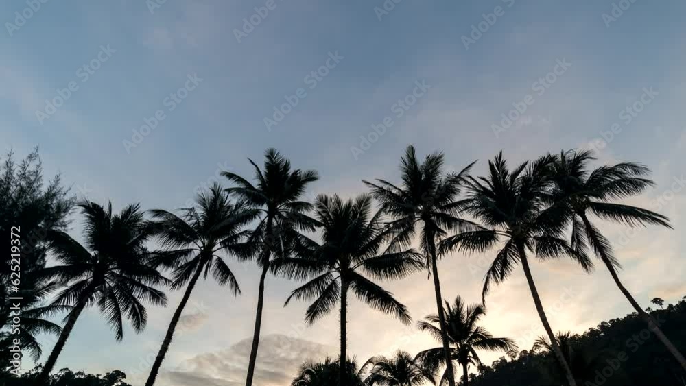 Coconut palm tree sunrise time lapse, nature landscape silhouette timelapse 4K Coconut palm tree sunrise time lapse, nature landscape silhouette timelapse 4K