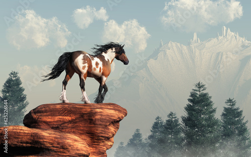 Canvas Print A pinto coated mustang stands at the edge of a rocky cliff over a verdant valley of evergreen trees