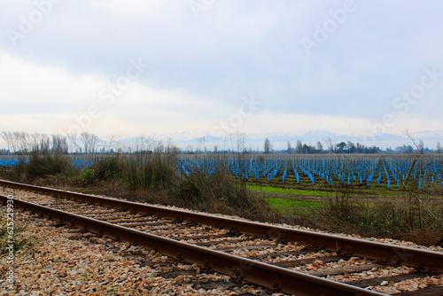 Rural landscape with railway line, Maule Region, Chile photo