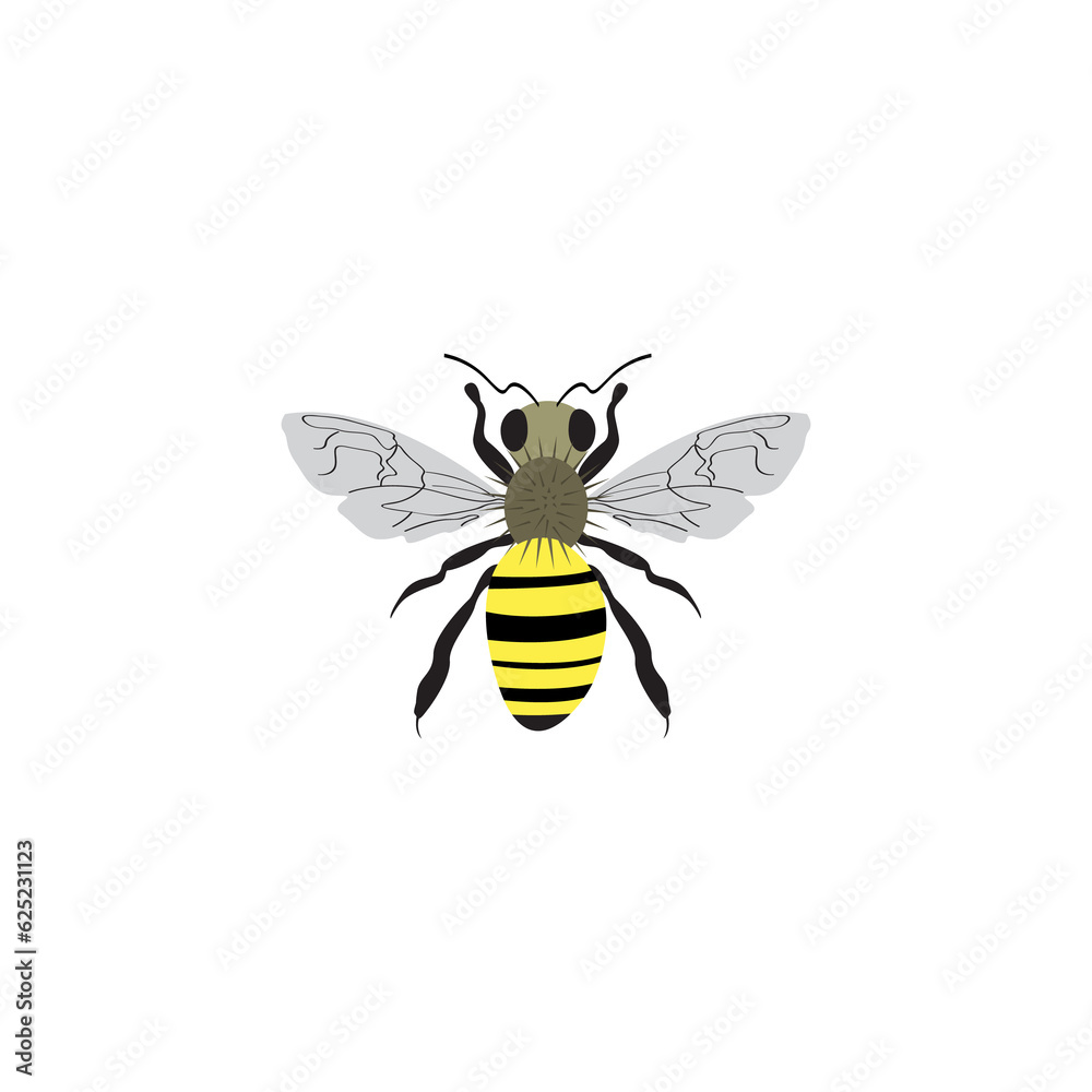Honey Bee, Sketch of a bee, illustration animal of honeybee on transparent background PNG Honey Bee, Sketch of a bee, illustration animal of honeybee on transparent background PNG