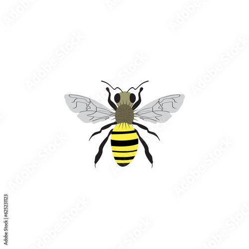 Honey Bee, Sketch of a bee, illustration animal of honeybee on transparent background PNG