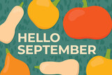 hello september text and pumpkins- vector illustration