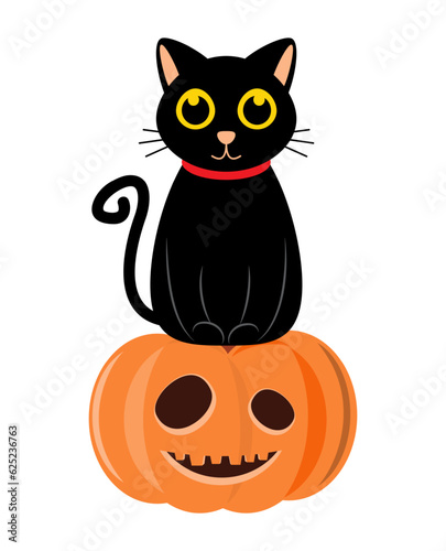 Black cat and halloween pumpkin . Cartoon character . Vector illustration .