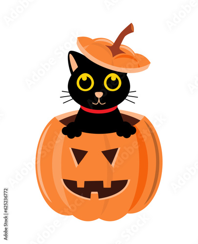 Black cat and halloween pumpkin . Cartoon character . Vector illustration .