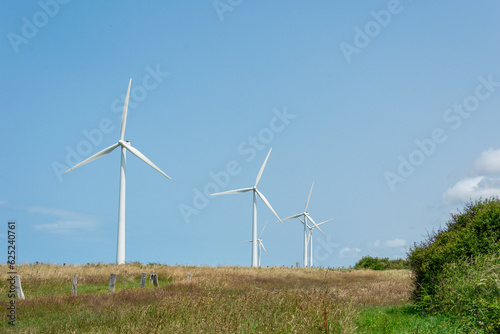 wind turbine in the field, wind turbine in a natural landscape