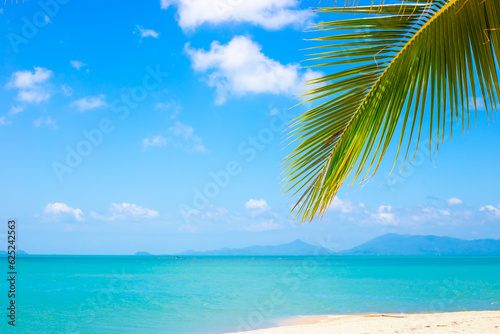 Fototapeta Naklejka Na Ścianę i Meble -  Palm leaf on the background of the sea landscape, copy space. Blue sea and blue sky on a tropical island. Travel and tourism.