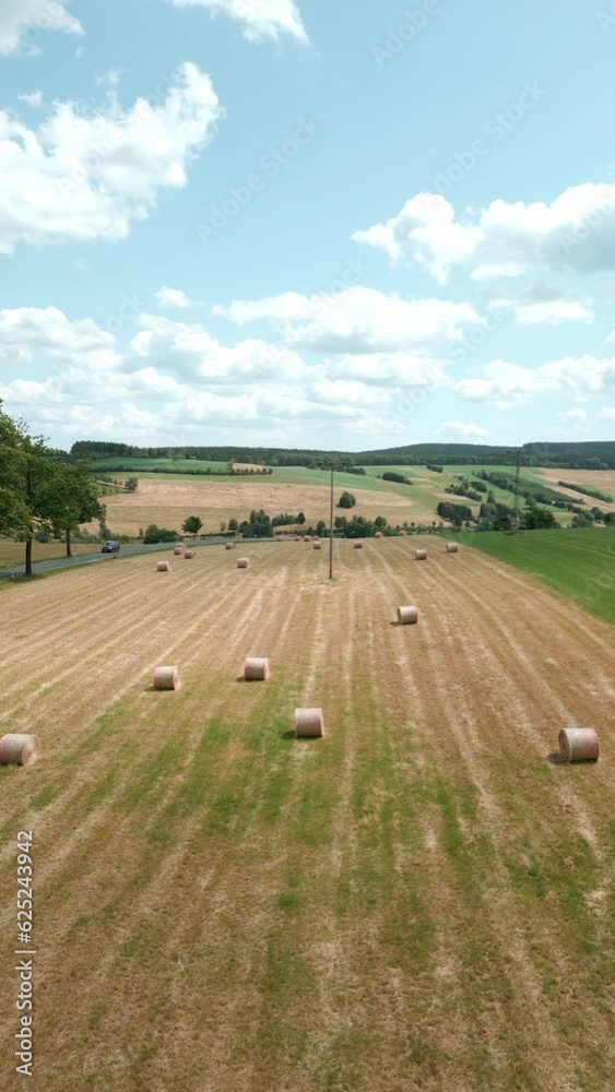 Vertical video, video for the phone, hay in the field near the road, hay harvesting, agriculture Vertical video, video for the phone, hay in the field near the road, hay harvesting, agriculture