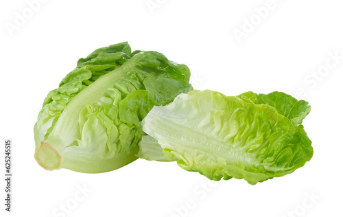 fresh baby cos (lettuce) on  transparent png
