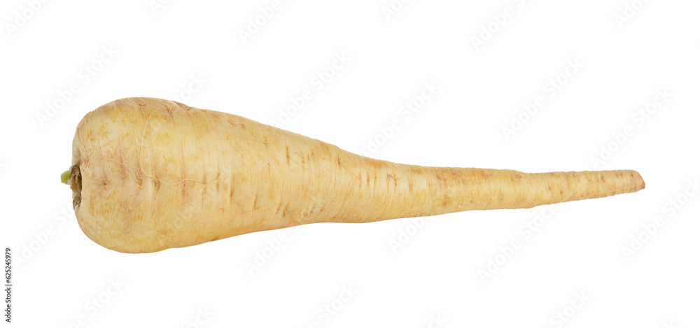 fresh parsnip roots on transparent png fresh parsnip roots on transparent png