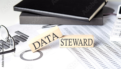 Принти на полотні Data steward - text on a wooden block with chart and notebook