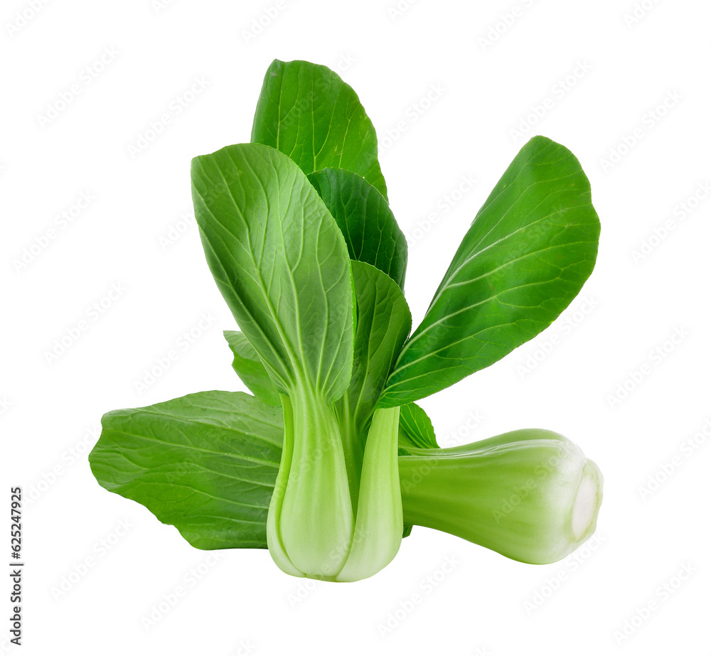 Bok choy vegetable on transparent png Bok choy vegetable on transparent png