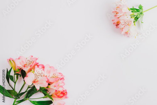 Beautiful Alstroemeria pink flowers on white background. Top view, flat lay, copy space
