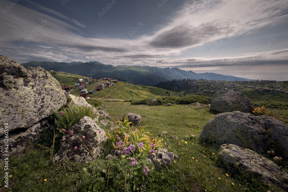 Alpine meadows of Guria on Gomis Mta