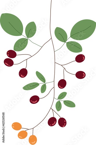 Guelder rose wildflower decor element flat icon. Vector illustration. Floral Twig with Berry and Leaves as Cute Foliage Vector Illustration. foliage berry branch floral icon isolated design vector 