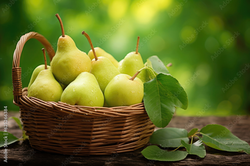 Wicker basket full of pears on green leaves background