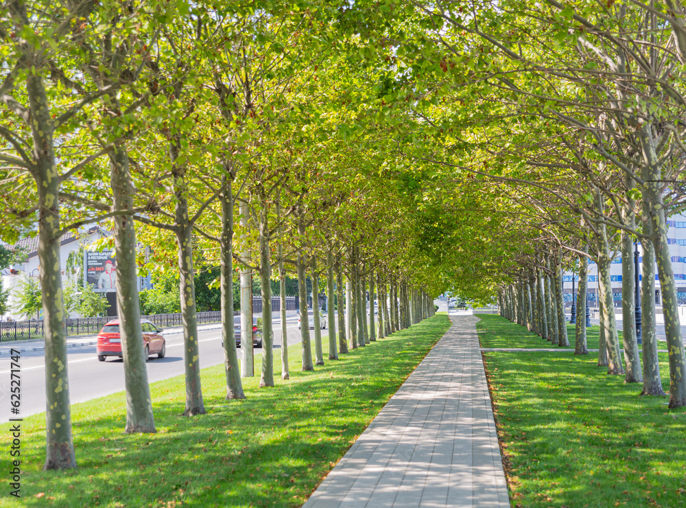 A weekend walk through the streets, parks and the embankment of the city. Novorossiysk, Russia, 16.07.2023