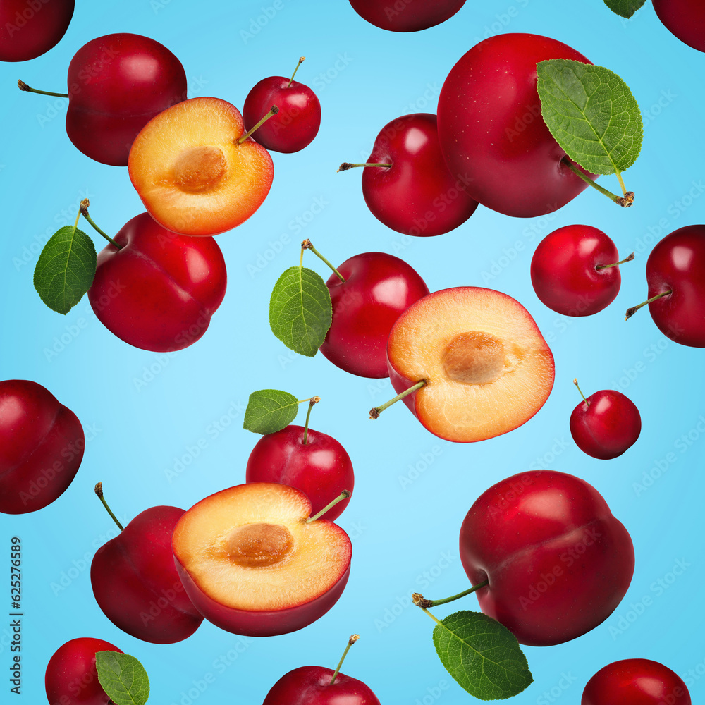 Many fresh cherry plums falling on light blue background Many fresh cherry plums falling on light blue background