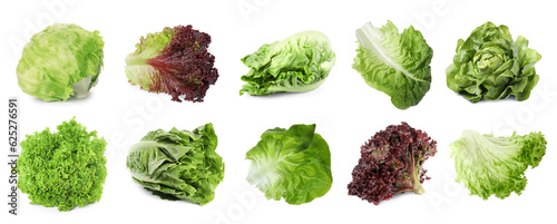 Different types of lettuce isolated on white, collage design