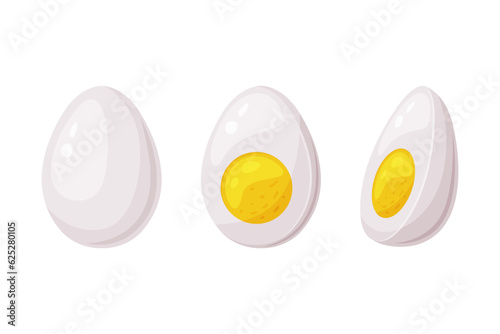 Boiled Egg Half with White and Yellow Yolk Vector Illustration
