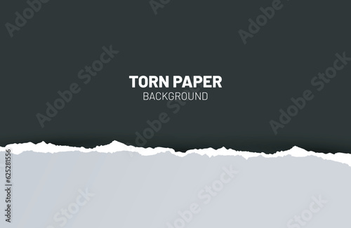 Ripped out torn paper sheet edge background