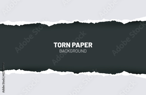 Ripped out torn paper sheet edge background