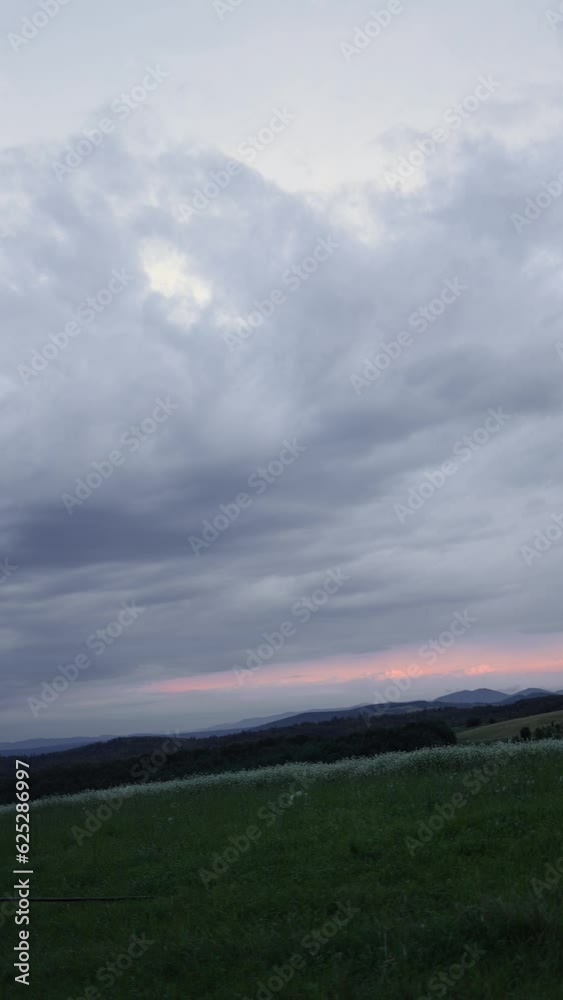 a white Swiss shepherd runs with a big stick in his teeth on the grass against the background of the sunset in the evening. the dog runs on the grass at night. vertical video a white Swiss shepherd runs with a big stick in his teeth on the grass against the background of the sunset in the evening. the dog runs on the grass at night. vertical video