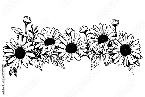 Hand drawn chamomile ink sketch. Daisy bouquet engraving vector illustration.