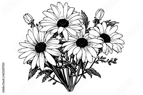 Hand drawn chamomile ink sketch. Daisy bouquet engraving vector illustration.