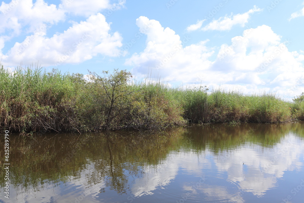Fototapeta premium Marsh land