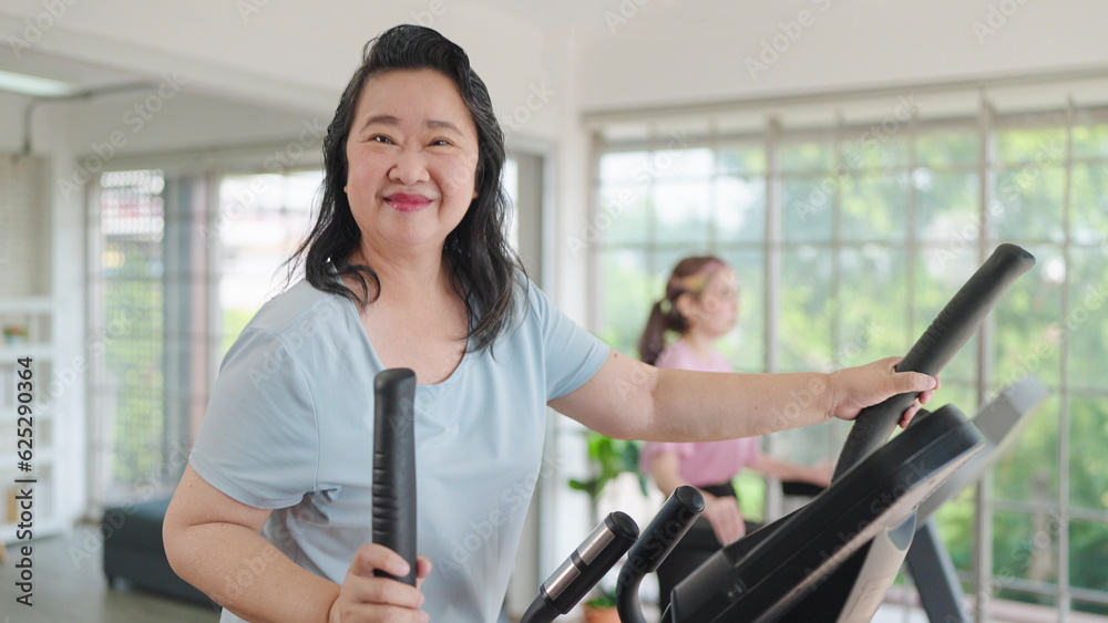 Close up smiling face of elderly women exercise on the machine in living room and looking at camera. Elderly lifestyle and concept Close up smiling face of elderly women exercise on the machine in living room and looking at camera. Elderly lifestyle and concept