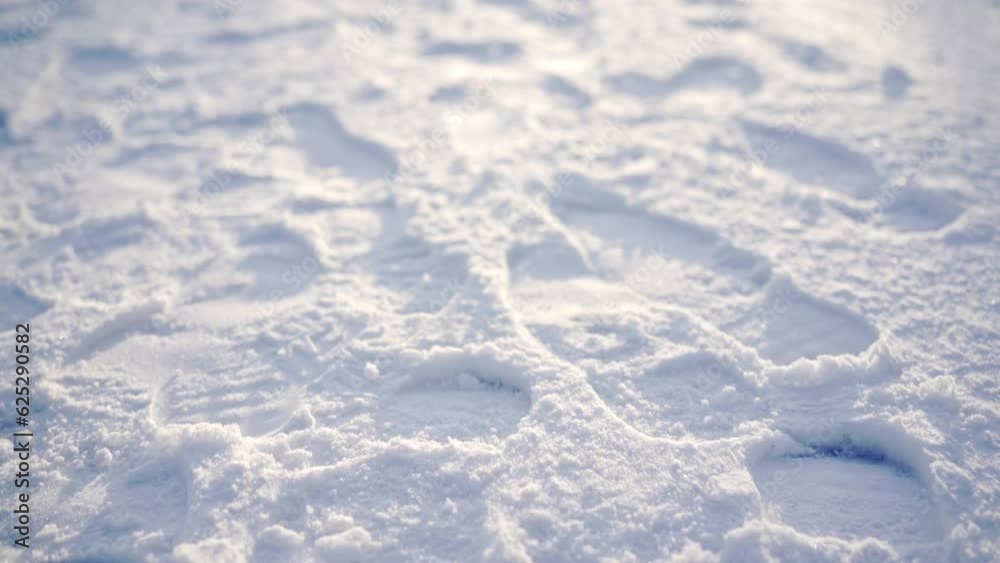Traces of human shoes imprinted on fresh snow.