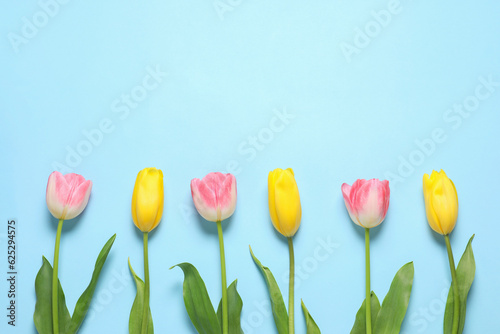 Beautiful colorful tulips on light blue background, flat lay with space for text