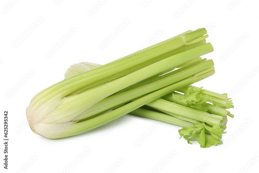 Fresh green celery bunches isolated on white Fresh green celery bunches isolated on white