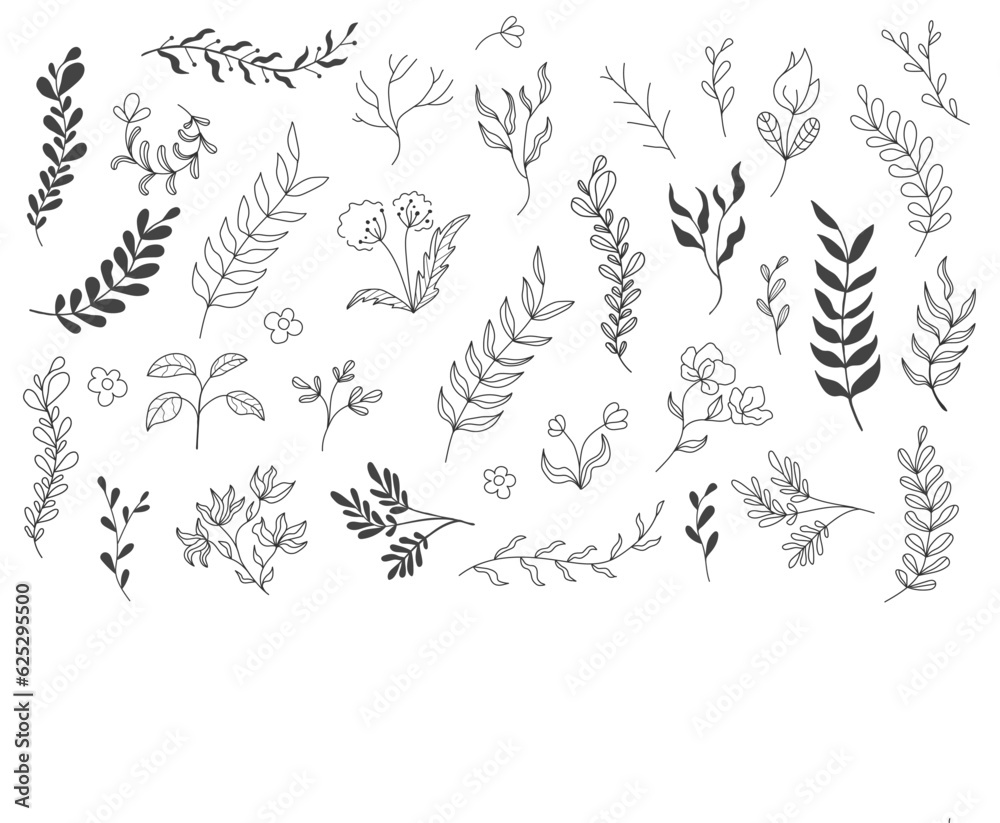 A set of branches with leaves and flowers on isolated background.. Decorative Elements for Decoration. Line art A set of branches with leaves and flowers on isolated background.. Decorative Elements for Decoration. Line art