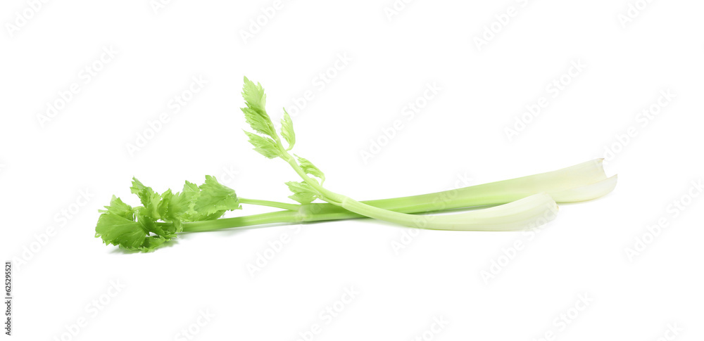 Fototapeta premium Fresh green celery stems isolated on white