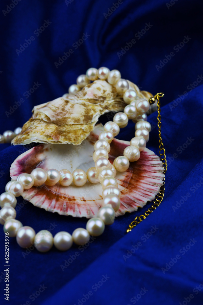 Women's jewelry in the form of natural pearl beads on blue velvet Women's jewelry in the form of natural pearl beads on blue velvet