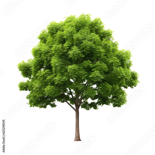 Tree isolated on transparent background. Generative ai