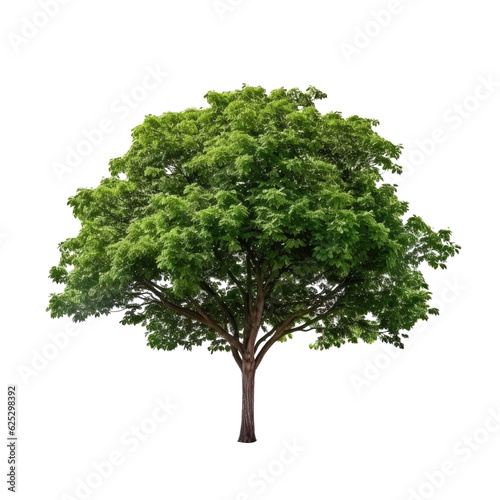 Tree isolated on transparent background. Generative ai