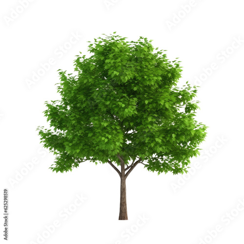 Tree isolated on transparent background. Generative ai