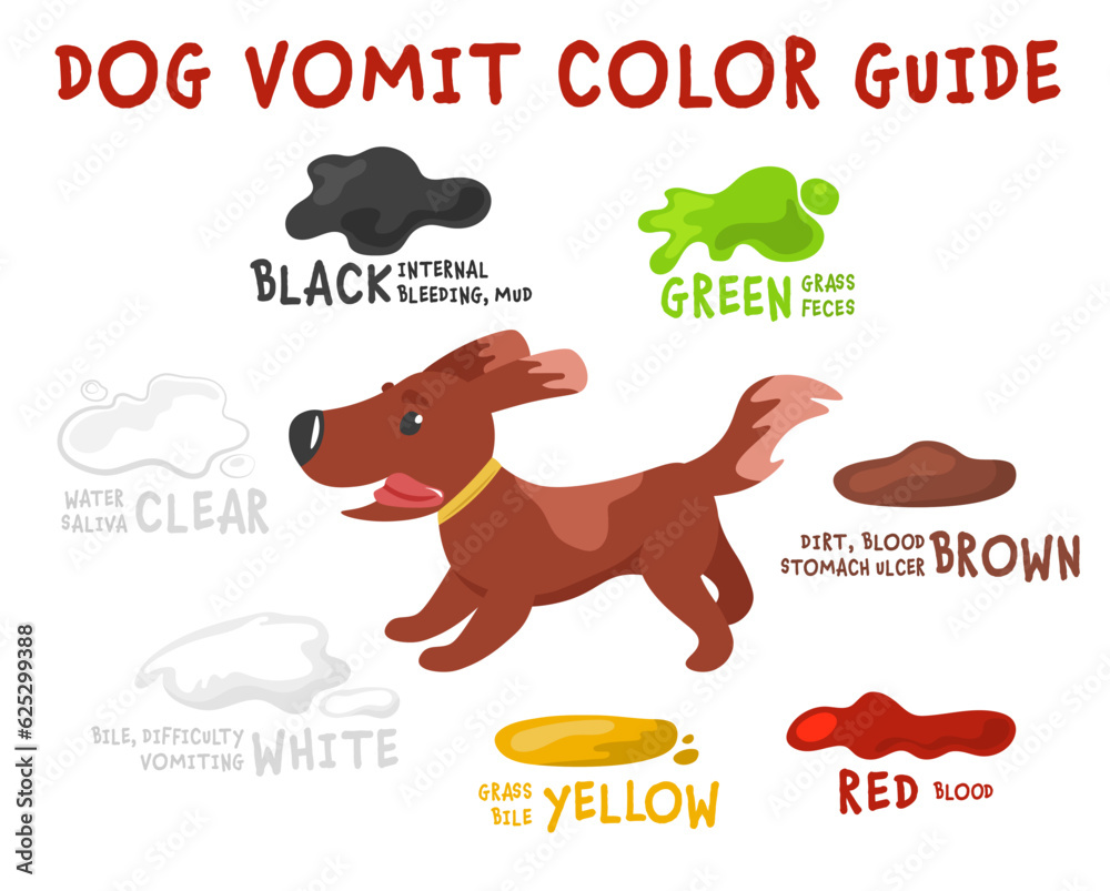 Dog vomit color guide. Editable vector illustration Stock Vector