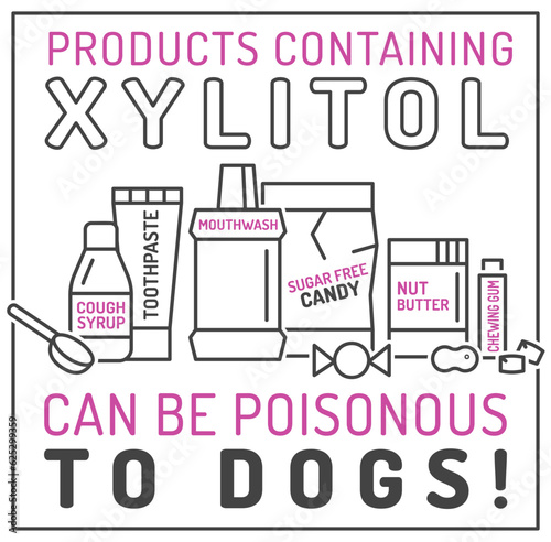 What is poisonous to dogs. Editable vector illustration