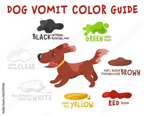 Dog vomit color guide. Editable vector illustration