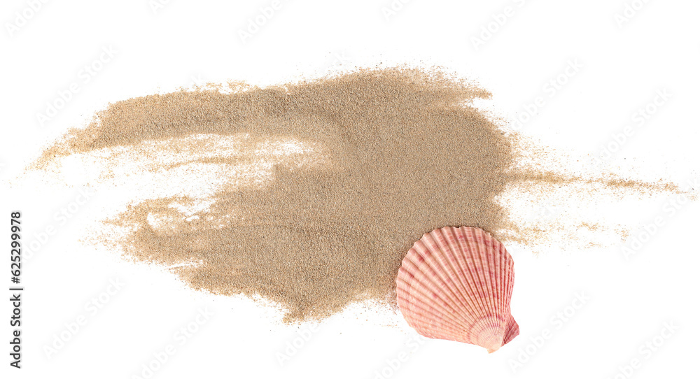 Sea shell in sand pile isolated on white, top view