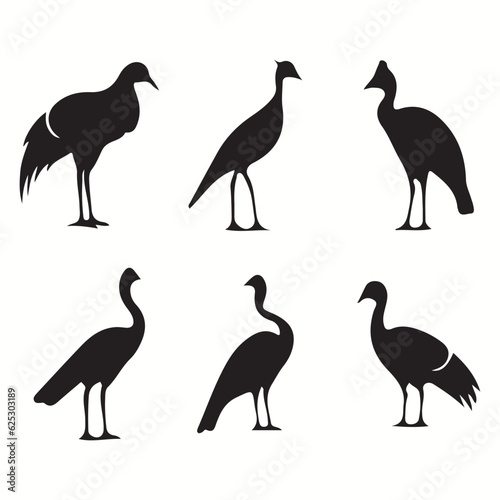 Cassowary silhouettes and icons. Black flat color simple elegant Cassowary animal vector and illustration. 