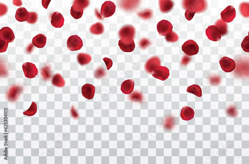 Vector realistic seamless border with fallig red rose petals on transparent background