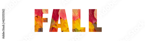 Letters FALL from colorful autumn leaves isolated on a white background. Wind banner