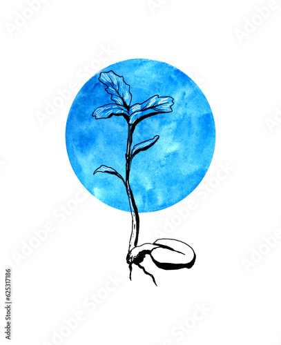 Sprouted Bean Ink Hand Drawing Illustration