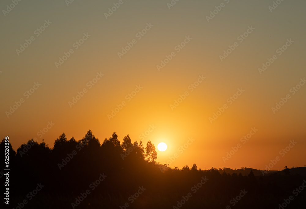 Sunset over silhouette of a forest 
